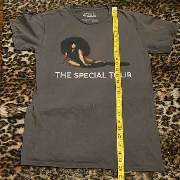 Lizzo Gray The Special Tour Distressed Graphic Shirt Music Singer Artist - Picture 6 of 9